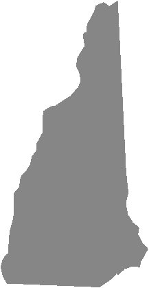 Running Races in NH 
